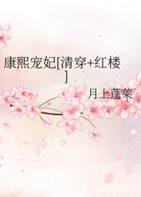 康熙宠妃[清穿+红楼]
