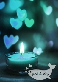 没追星，就追你